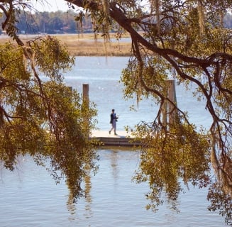 dock on the water through spanish moss