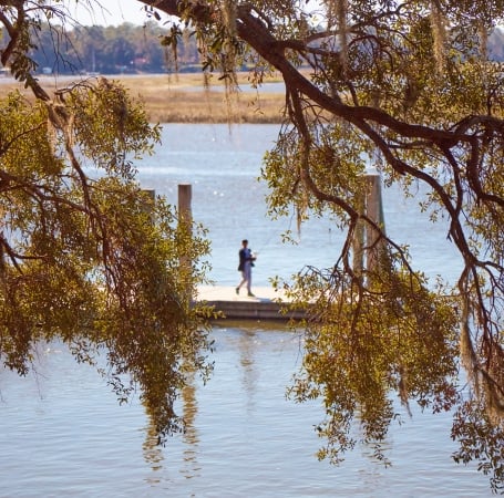 dock on the water through spanish moss