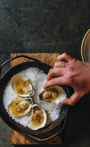 oysters