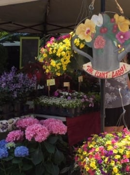 flower stand