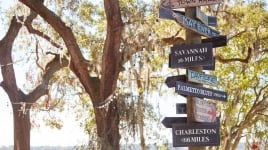 signs on a tree