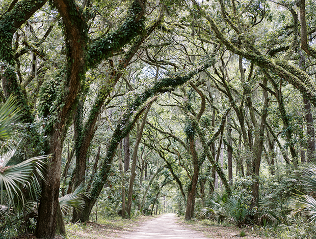 River Road Nature Preserve